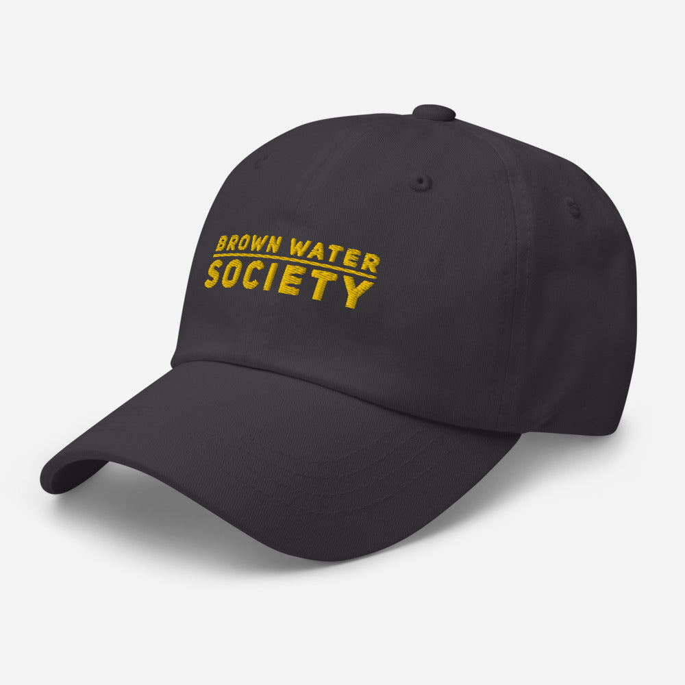 BWS Logo - Dad Hat