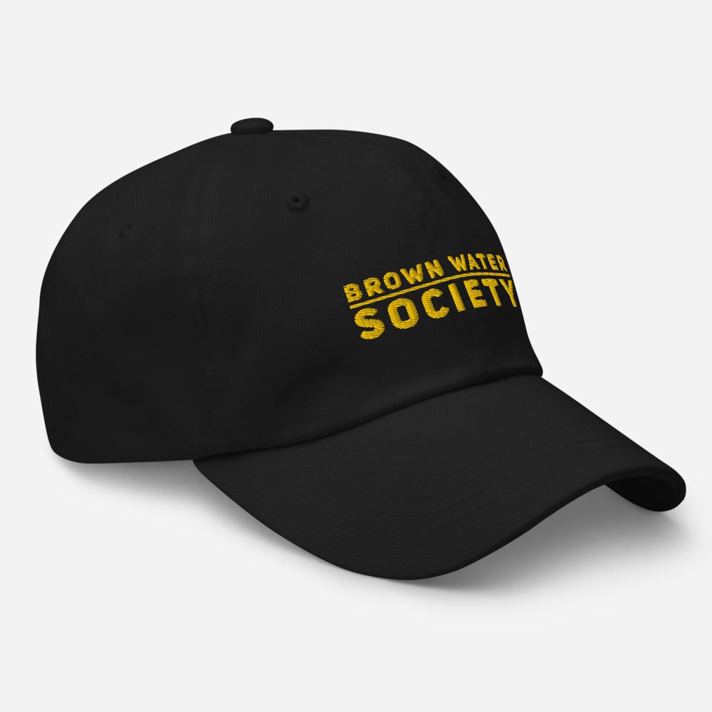 BWS Logo - Dad Hat